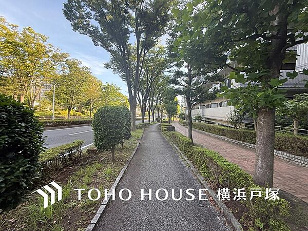 【Frontal road】穏やかな街並みの中で、陽光と開放感を感じながら暮らせる魅力ある住環境です。