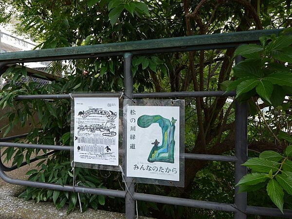 松の川緑道まで約605m