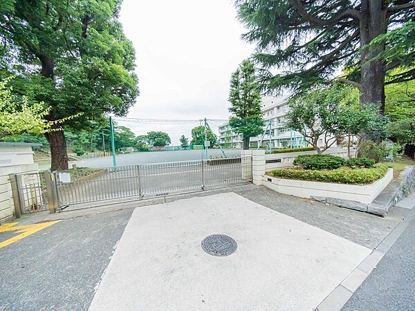 横浜市立石川小学校まで約1300m