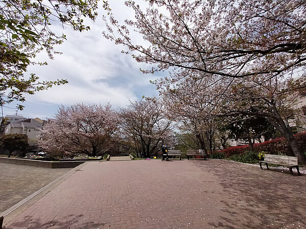 晴れた日には富士山まで望める景色のいい公園です。色とりどりの草花で四季の移ろいも感じられる住民の憩いの場です。