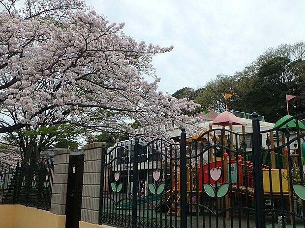 小規模ながら先生がいつも子供達と一緒に遊んでくれる、元気で明るい幼稚園。毎日子供達の楽しそうな声が聞こえます。