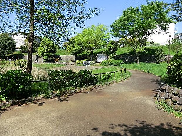 遊具のある広場に加え、夏場には子供たちが水遊びを楽しめる「わんわん池」が人気。緑豊かな環境で、地域住民や親子連れの憩いの場となっています。