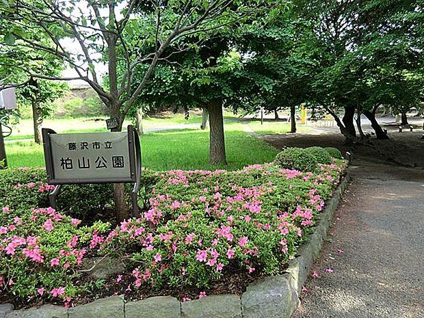 柏山公園まで約1172m