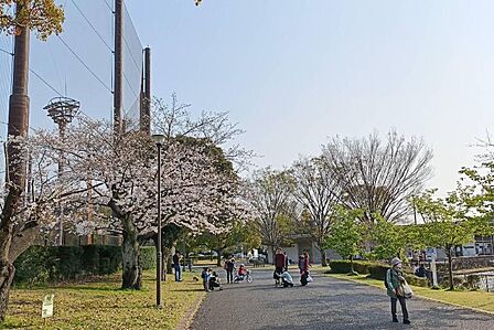 俣野公園が身近にあり、緑豊かな環境で自然を身近に感じられます。散歩やお子さまとの遊び場など、家族の憩いの場として楽しめます。