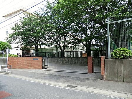藤沢市立新林小学校まで約871m