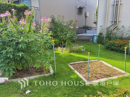 植栽の位置や開放的なエクステリアも含めて美しくトータルにデザインされております。