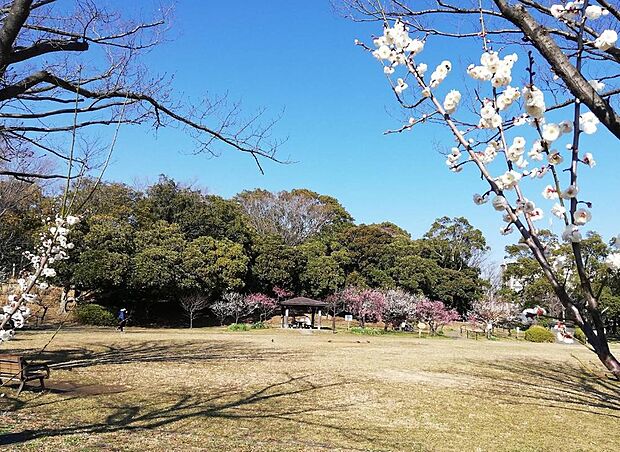洋光台西公園が身近にあり、緑豊かで爽やかな時間を過ごせます。広々とした敷地で散策や子どもとの遊ぶ時間を楽しめる憩いのスポット。周辺環境に恵まれ、ゆとりある心地よい暮らしを叶える魅力的な立地。