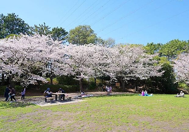 洋光台駅前公園が身近にあり、緑豊かで爽やかな時間を過ごせます。遊具や広場があり子どもと遊ぶ時間を楽しめる憩いのスポット。周辺環境に恵まれ、ゆとりある心地よい暮らしを叶える魅力的な立地。