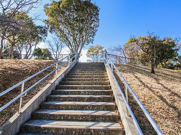 野球場や芝生公園・遊具公園・プール・テニスコートなどと多目的に利用できるスポーツ公園です。春には桜も楽しめます。