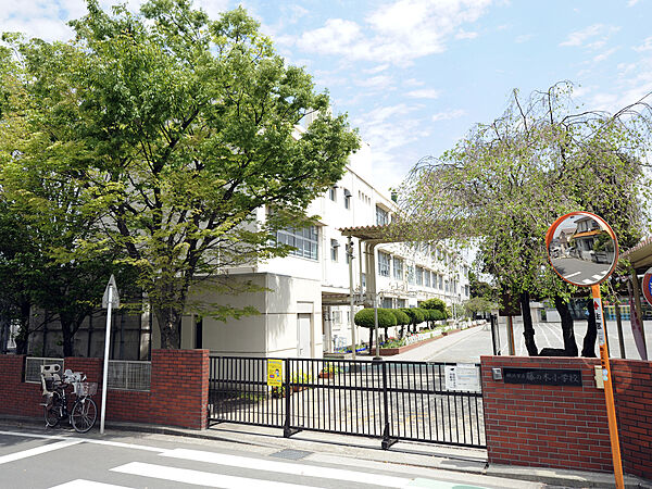 横浜市立藤の木小学校(600m)