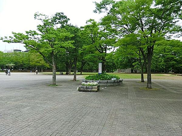 第一カッターきいろ公園まで約800m。 芝生広場を中心に、桜や紅葉など四季折々の自然が楽しめます。滝や流れもあり、市民の憩いの場やイベント会場として親しまれています。