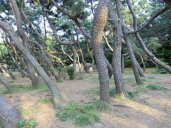 小和田浜公園（240ｍ）湘南の海が一望できる開放的なロケーション。園内には芝生広場や遊具、ベンチがあり、家族連れや散歩を楽しむ人々に人気です。
