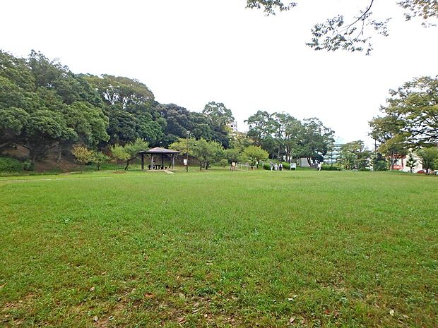 洋光台北公園（300ｍ）緑の多い園内は、公園というよりも小さな雑木林を思わせる雰囲気あり、散策コースとしても適しており、滑り台やブランコをはじめ、色々な遊具が設けられています。