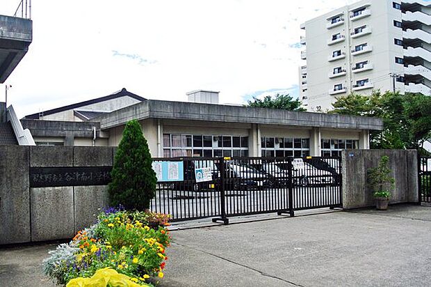 習志野市立谷津南小学校590m徒歩8分
