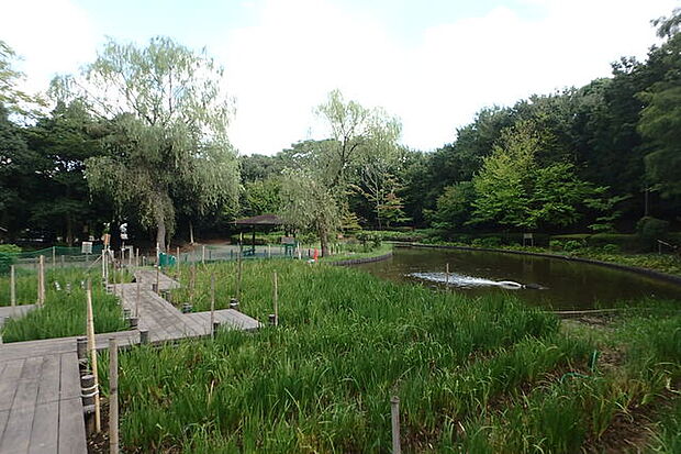 香澄公園150m徒歩2分