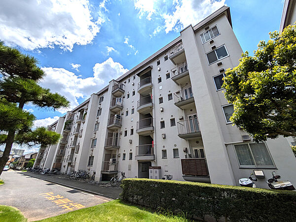 団地ならではの緑豊かな住環境