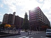 二条駅より徒歩4分 9階 築26年10ヶ月の賃貸物件