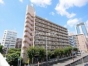 サウスフラット 8階 築30年2ヶ月の賃貸物件