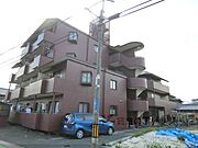 沢良宜レジデンス 4階 築41年6ヶ月の賃貸物件