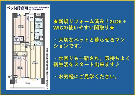 2LDK 間取り