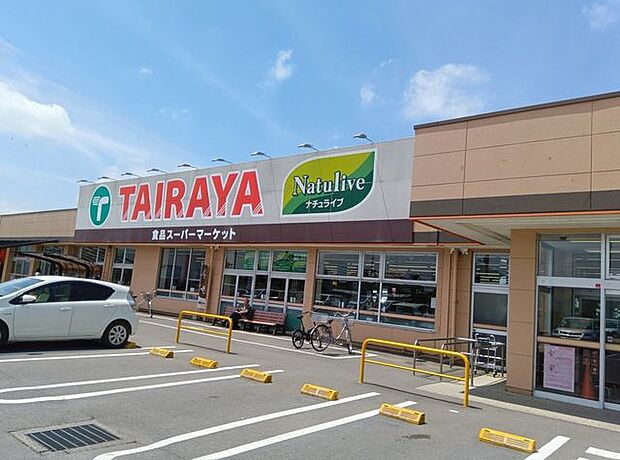 TAIRAYA 川島店 1070m