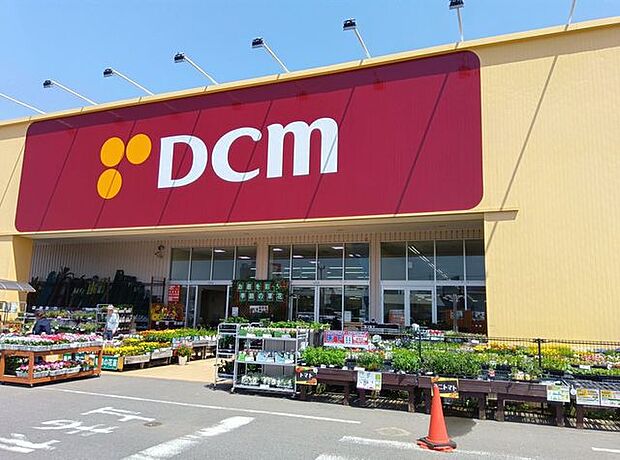 DCM筑西横島店 820m