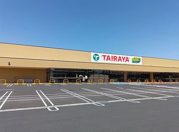 TAIRAYA 岡芹店 1160m