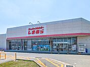 ファッションセンターしまむら下田島店 1480m