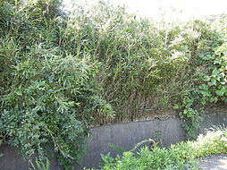 和歌山県日高郡美浜町大字三尾1576の土地画像