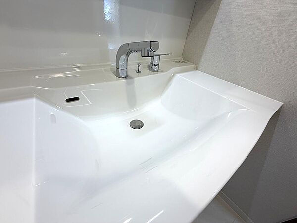 シャワー付き洗面シンク。使い勝手良好です！