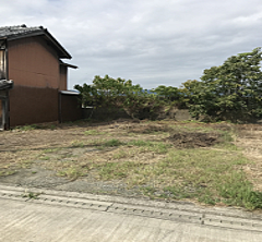 外観：330000084905