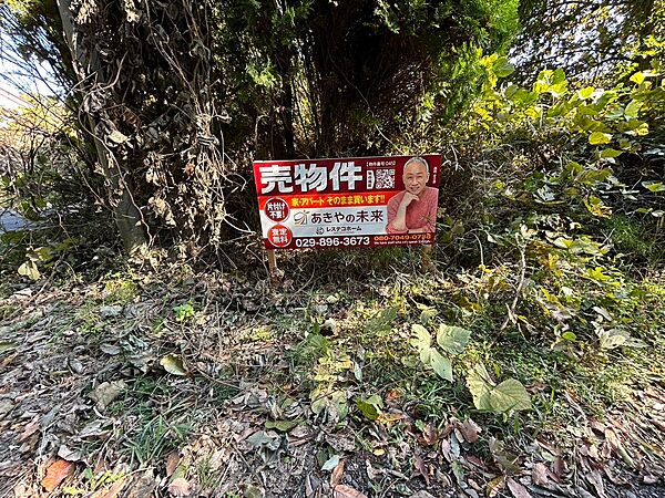 その他を拡大表示
