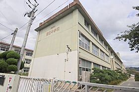 シャーメゾン奈良町 103 ｜ 奈良県奈良市築地之内町13（賃貸マンション1LDK・1階・45.31㎡） その17