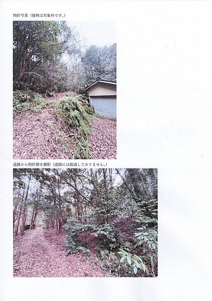 写真2