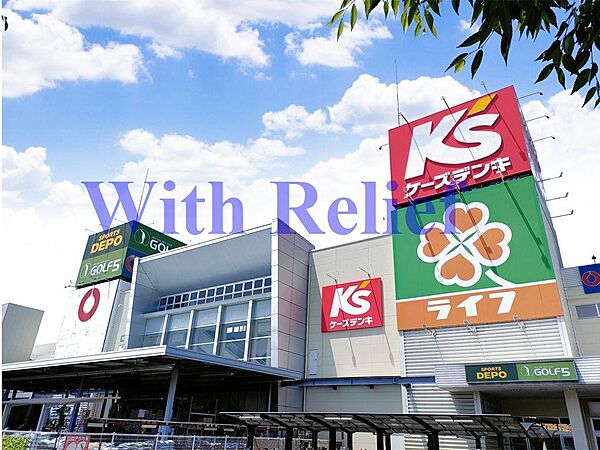 ライフ高槻城西店：徒歩11分（871ｍ）