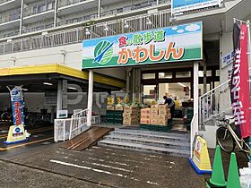 エムブレム カトリエーム  ｜ 千葉県市川市鬼高２丁目24-23（賃貸アパート1R・2階・19.87㎡） その25