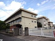 小学校「岡山市立宇野小学校まで1034ｍ」