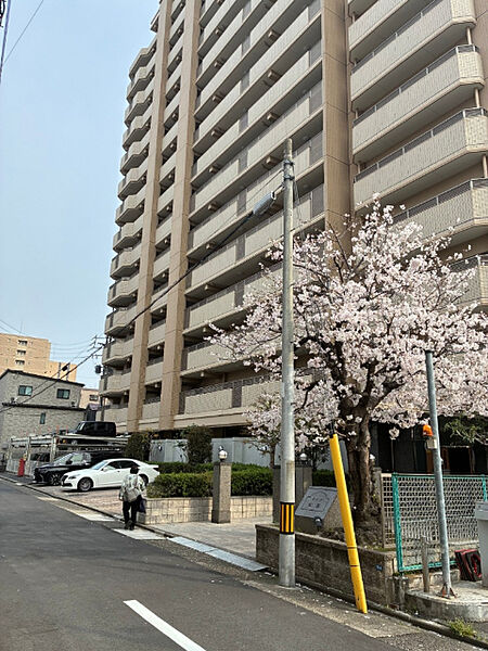 外観：323000535107