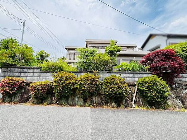 晴れた日は陽光が差し込む南側敷地です。南側にサンルームやバルコニーを造ればお洗濯物がよく乾きそうです♪