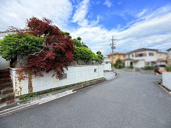 南側接道の立地。陽当たりを活かした間取りプランをご検討いただけます♪