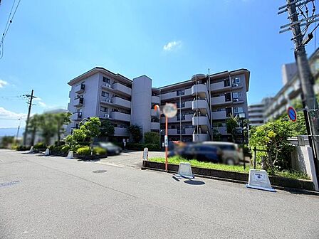 約6帖の和室は、客間やお子様の遊び場など、ライフスタイルに合わせて多目的に活用できます♪