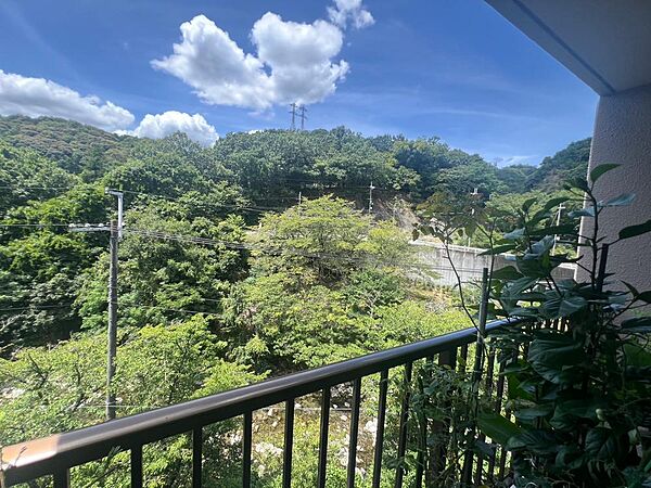 窓辺から自然の景色を楽しめ、四季の移ろいを日々の暮らしに取り入れられます♪