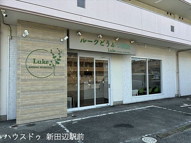 ルーク動物病院 1930m