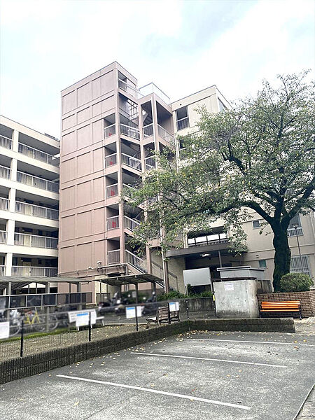 【外観】大きな木が季節の移ろいを感じさせてくれる、心安らぐマンションのエントランス周辺♪（2026年9月撮影）