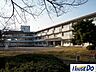 周辺：美園小学校美園小学校 900m