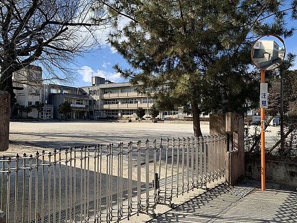 第八小学校第八小学校 660m