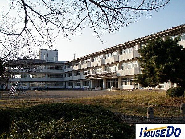 美園小学校美園小学校 330m