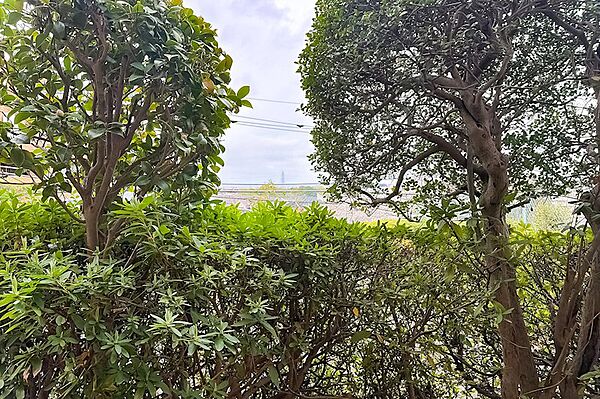西向きのバルコニーからは、植栽の緑を望みます。
