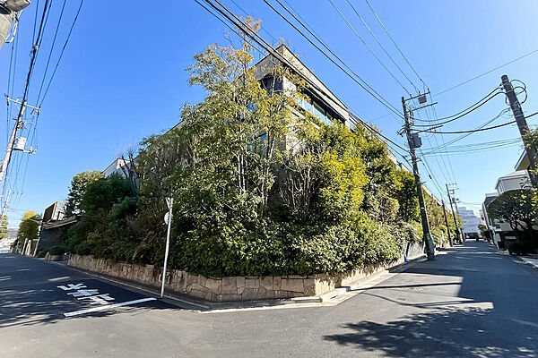 邸宅街に馴染む佇まいで、植栽も美しく整えられています。