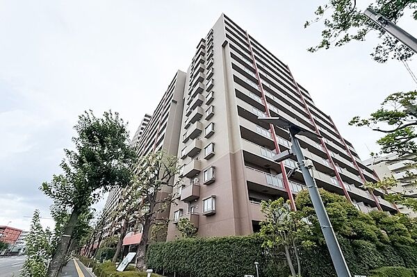 外観：313004871773